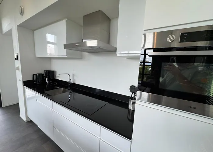 Enkhuizer Meeresruhe Haus Nr 207 Энкхейзен